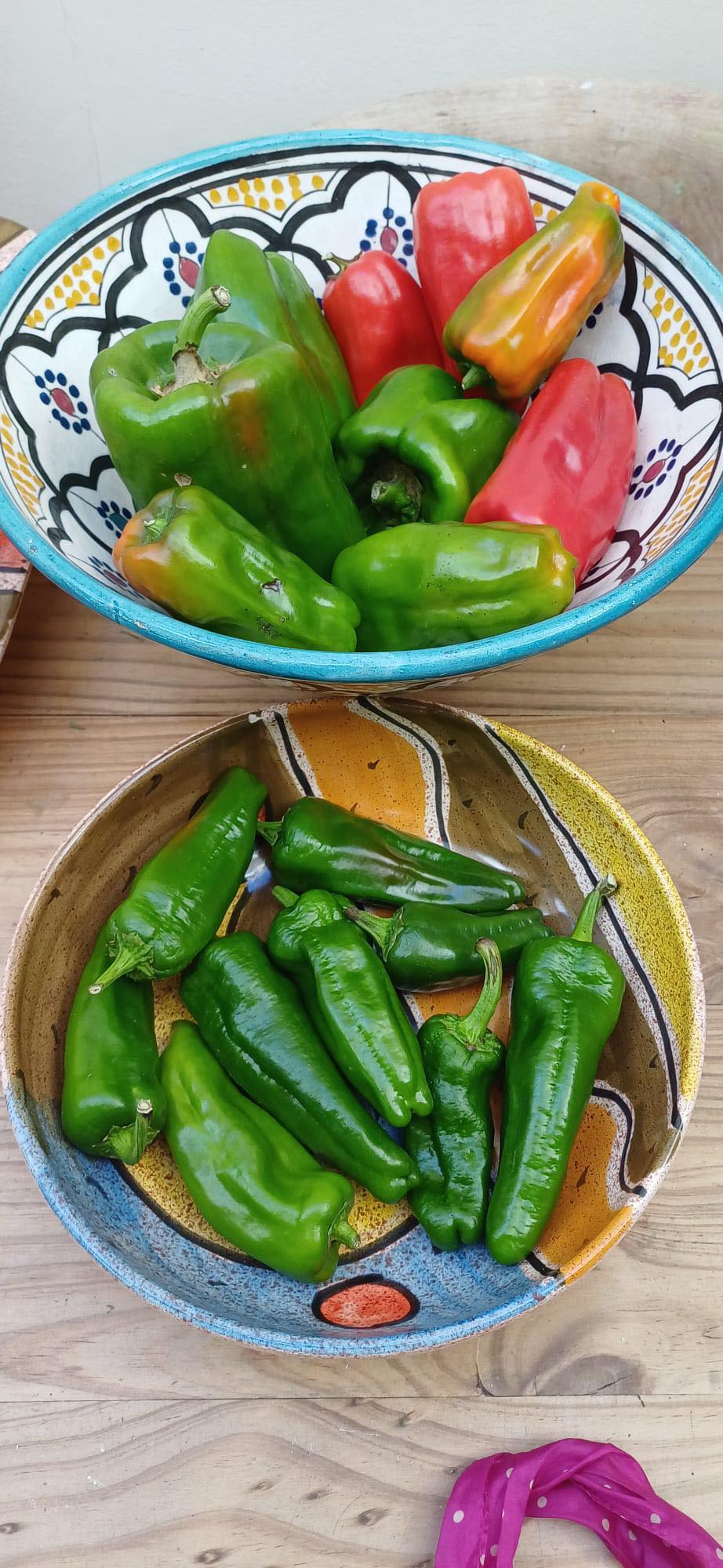 Bowls of freshly harvested green, red and orange peppers grown at the allotments